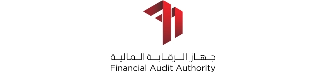 Financial Audit Financial Audit